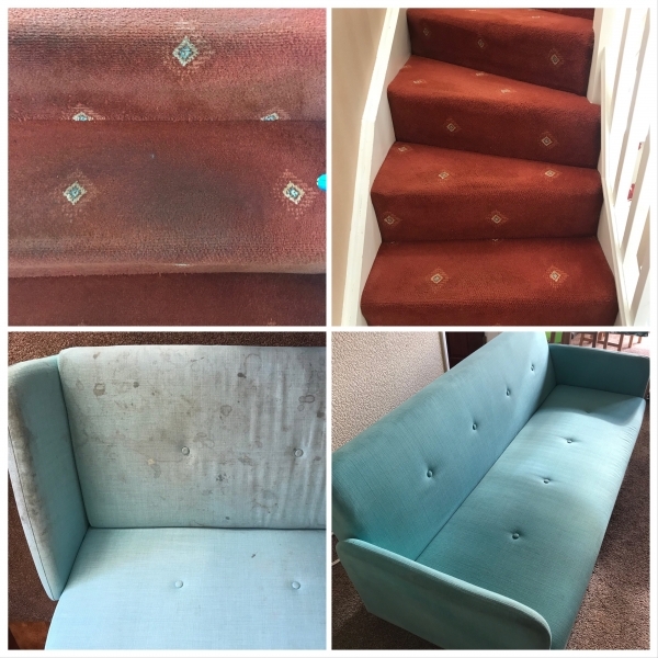Professional carpet and upholstery cleaners - Cannock - Stafford - Lichfield